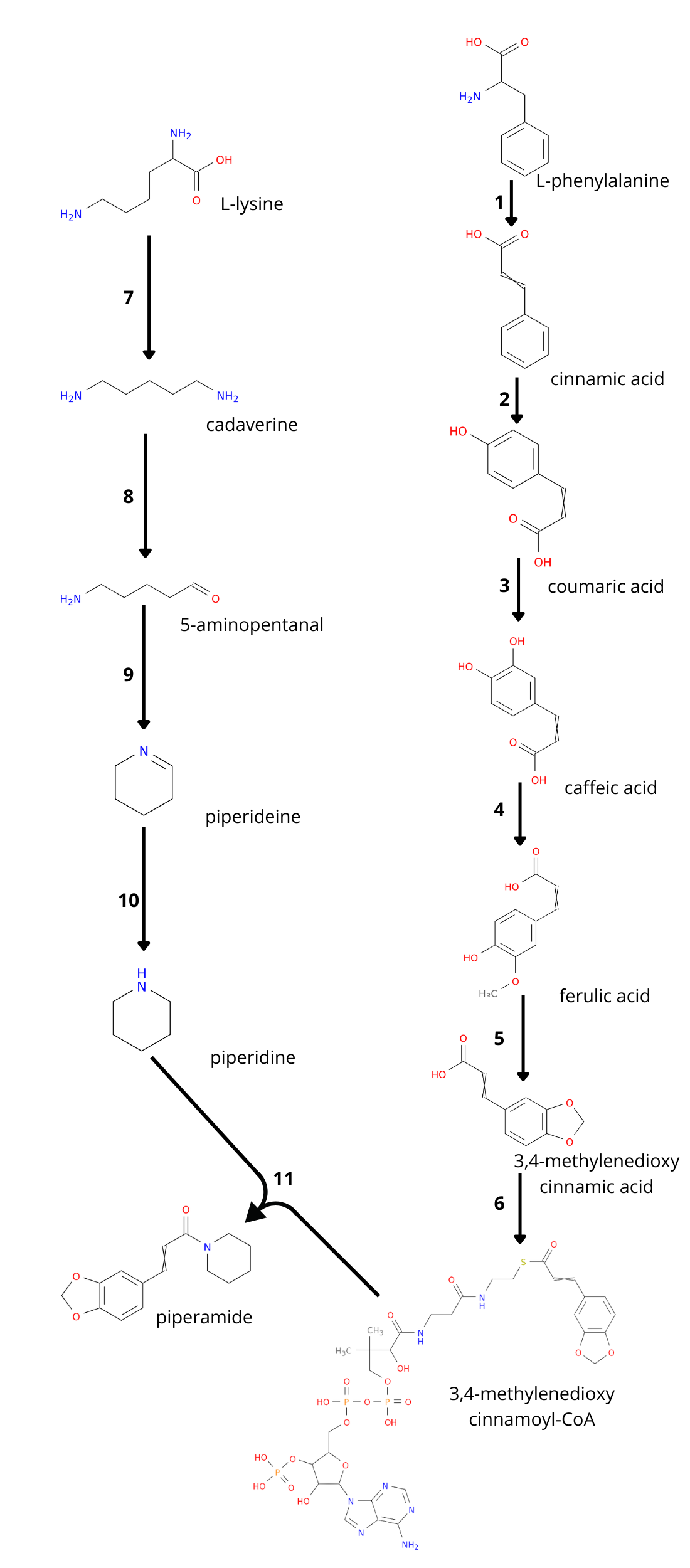 Piperamide